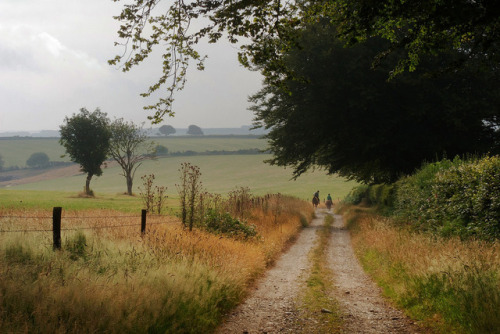 wanderthewood - Near Winsford in Somerset, England by Paweł...