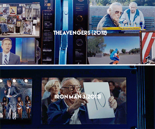chrjshemsworth:every single STAN LEE cameo in the marvel...