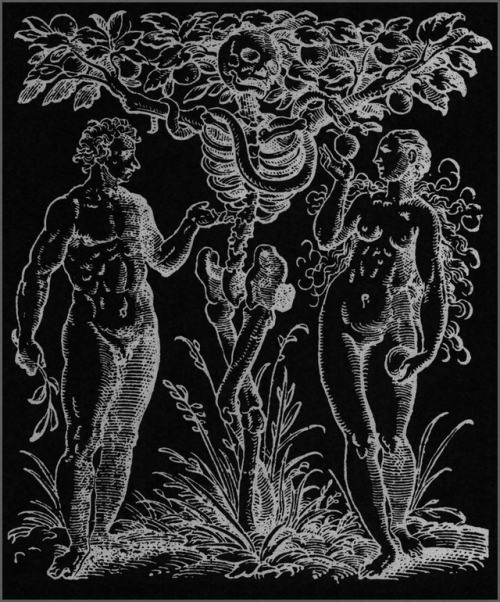 chaosophia218 - Jacob Rueff - Tree of the Knowledge of Good and...