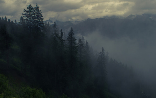 90377:Fog in the Alps by Jerdess