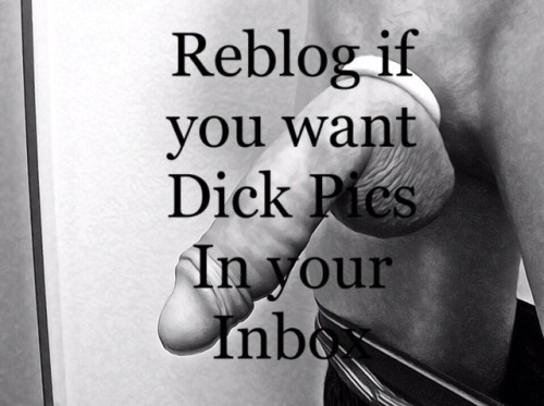 big-white-cocks-daily:Reblog if you want Dick Pics In your...