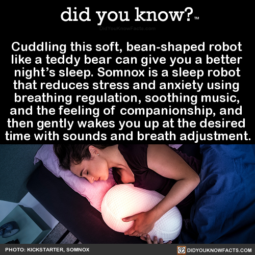 cuddling-this-soft-bean-shaped-robot-like-a