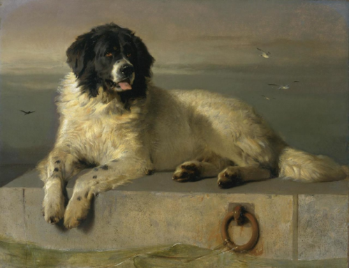 life-imitates-art-far-more - Edwin Henry Landseer (1802-1873)“A...