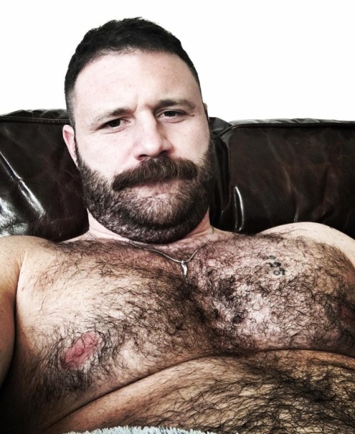 Hot Dads, Bears, and Muscle Men