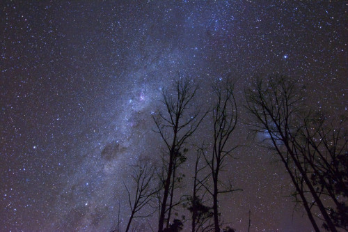 space-wallpapers - The Glow Through the Trees, Australia ...