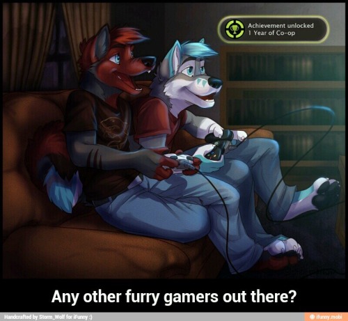 furriesgametoo:Looking for other furry gamers on Xbox or...
