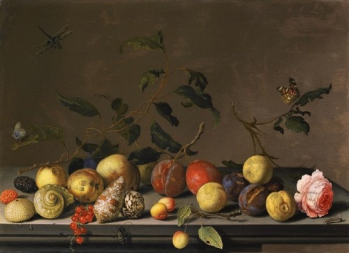 A still-life of fruit and shells with a rose and various insects...