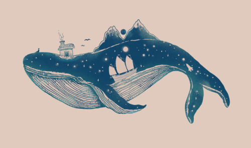 1000drawings - Home  by Norman Duenas