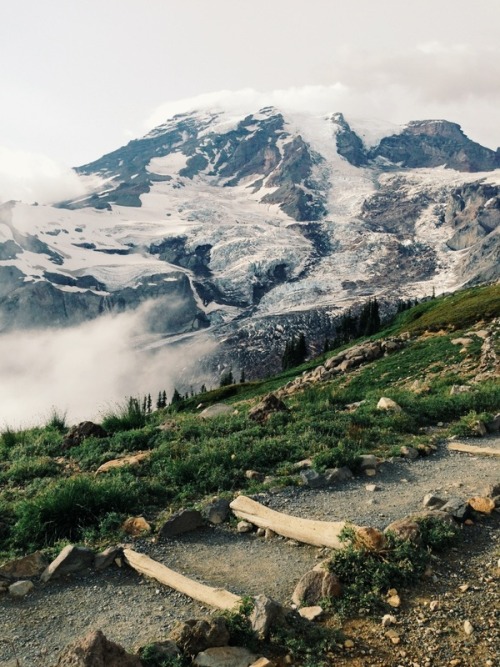 melodyandviolence:Mt Rainier National Park, Washington by...