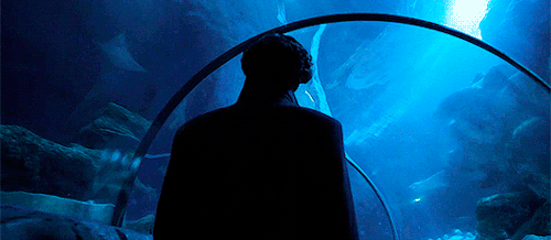 221bgaykerstreet - Sherlock at the Sea LifeLondon Aquarium.
