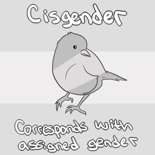 rockytoad - Gender identities and terms! Since I had a few people...