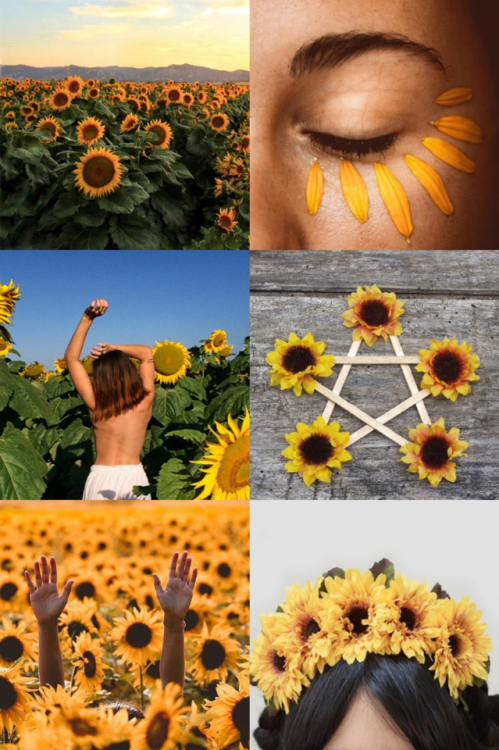 borrowers-of-the-night:Sunflower Witch