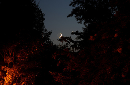 astronomyblog - Conjunction - Venus and MoonImage credit -  Roger...