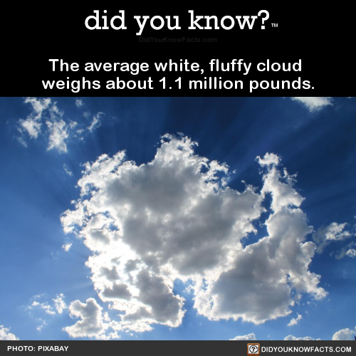 the-average-white-fluffy-cloud-weighs-about-11