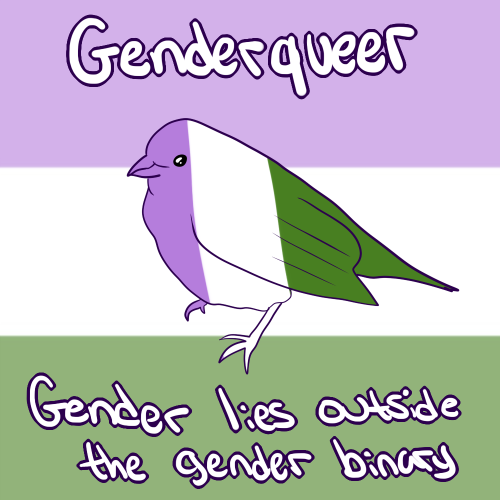 rockytoad - Gender identities and terms! Since I had a few people...