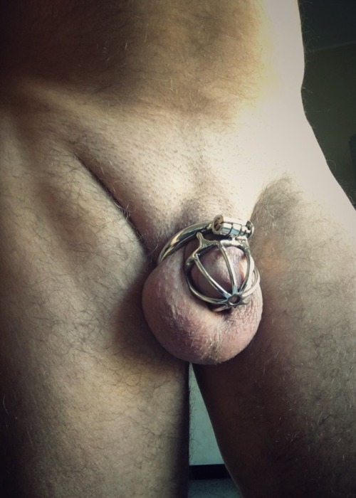 alphapupattis - Sir @calvinmm8 locked me in a microcage for a...