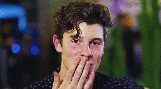 Picture Result, Shawn Mendes gif