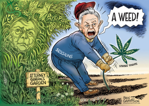 “Sessions’s Garden” New CartoonOur fingers are crossed that Jeff...