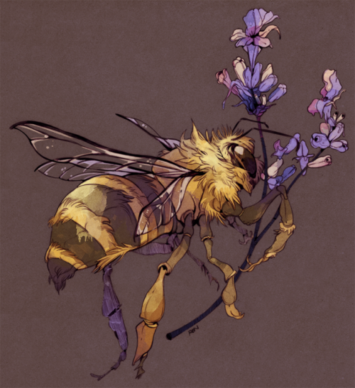 godzillabreath:honeybee and lavender in late afternoon...