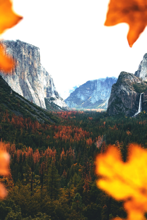 tryintoxpress - Yosemite - Photographer ¦ Lifestyle - Nature -...