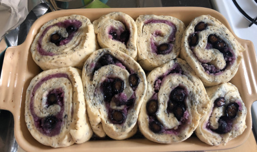 cacchieressa - Lemon blueberry poppyseed buns! Very easy, very...