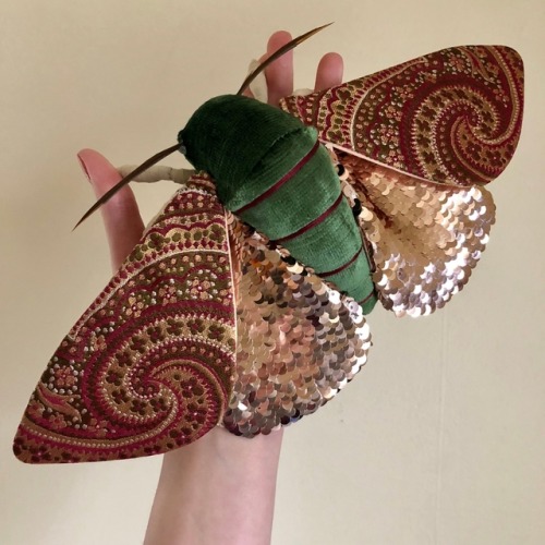 dovewithscales - marrow-bone - sosuperawesome - Moths / Bees /...