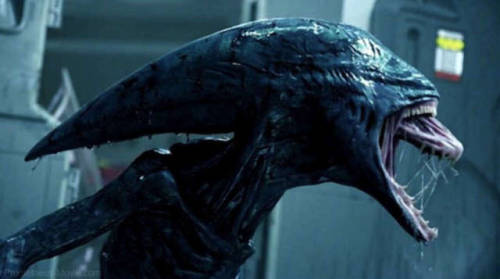 richard-is-bored - Evolution of the Xenomorph in the Alien...