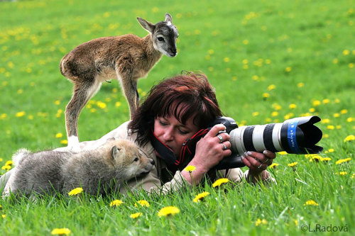 conflictingheart - Some Reasons Why Being A Nature Photographer...