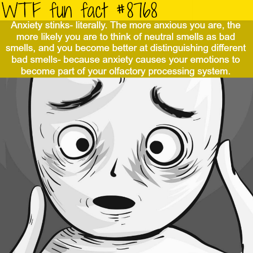 wtf-fun-factss - Anxiety Stinks - WTF fun facts