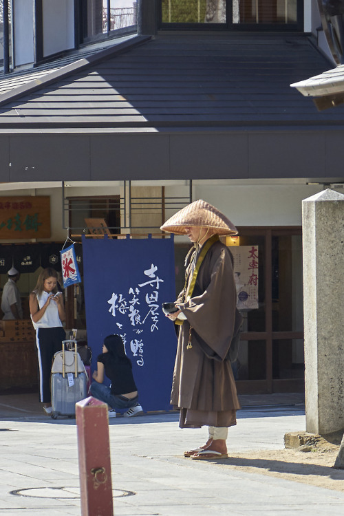kuma-photo - 「九州旅行 2」長崎～博多へ移動して旨いモノ三昧