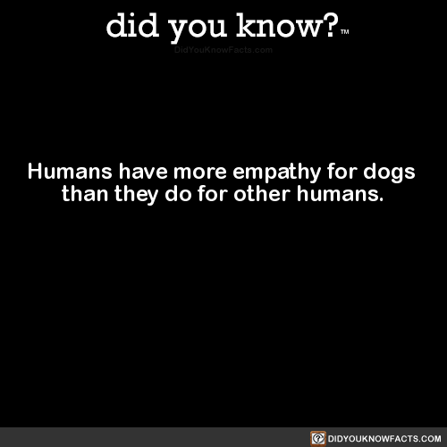 humans-have-more-empathy-for-dogs-than-they-do