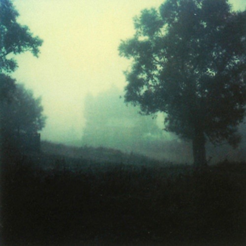 nobrashfestivity - Polaroids by Andrei Tarkovsky