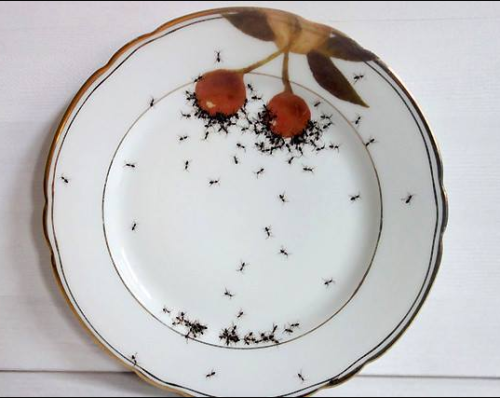 Auf den ersten Blick ziemlich eklig, dieser Teller, und sicher nicht dazu anregend, ihn mit leckerem Essen zu füllen. Ob die Idee von einem Ameisen-Liebhaber stammt oder als Tarn-Teller für gesuchte Krabbeltiere herhalten sollte? Oder möglicherweise...