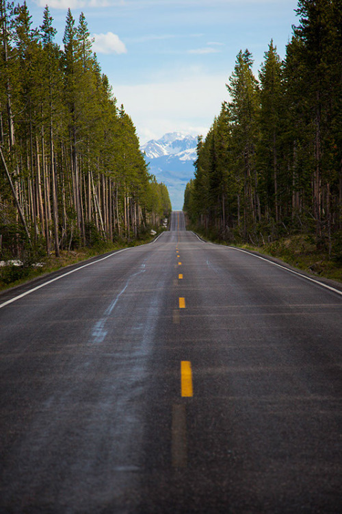 wanderthewood - Road out of Yellowstone National Park, Wyoming...