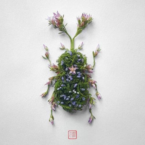 itscolossal - Insect Flower Arrangements by Raku Inoue