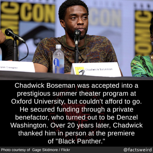 mindblowingfactz - Chadwick Boseman was accepted into a...