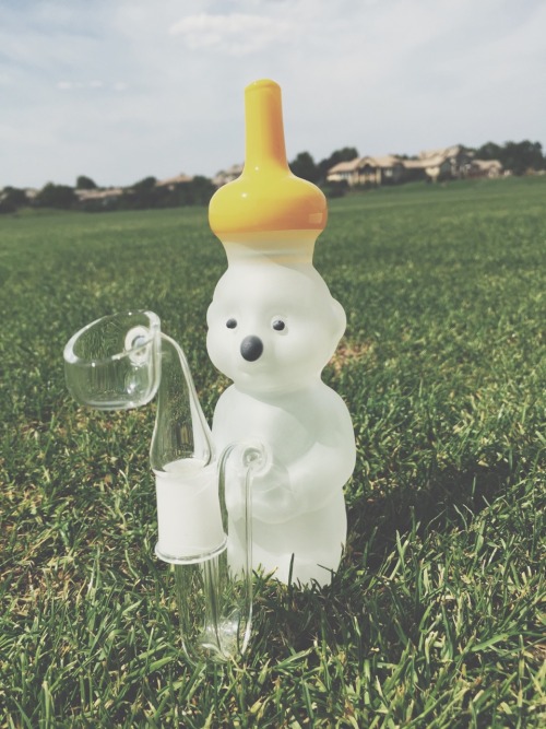 dabcups - Get outside with the honey bearNow on dab-cups.com