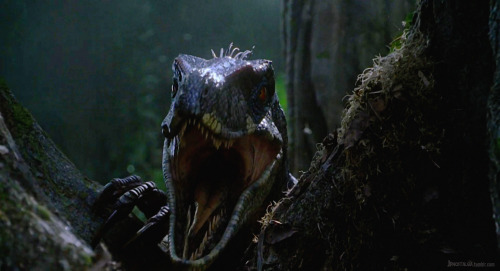 jpnostalgia - VELOCIRAPTORS . Jurassic Park III HQ...