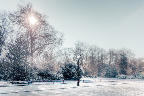 frederick-ardley:Wonderings in Snow, Battersea...