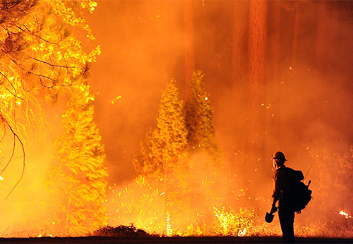verdigris113 - Wildland firefighters in California.