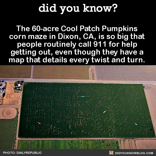 did-you-kno-the-60-acre-cool-patch-pumpkins