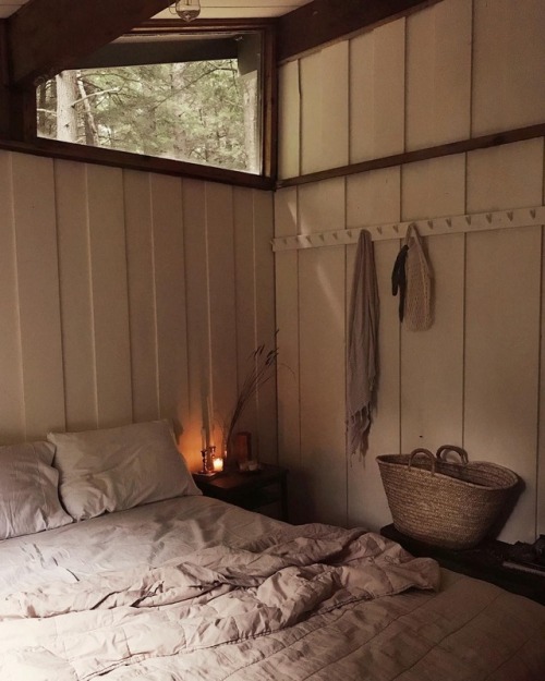 wild-cabins:FORESTBOUND
