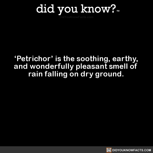 did-you-know - ‘Petrichor’ is the soothing, earthy, and...