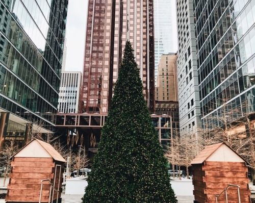 triflingthing:christmas in the financial district (toronto)