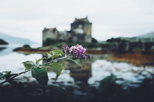 dpcphotography - Eilean Donan Castle