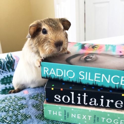bookpigs - Englebert with his favourite books – Radio Silence,...