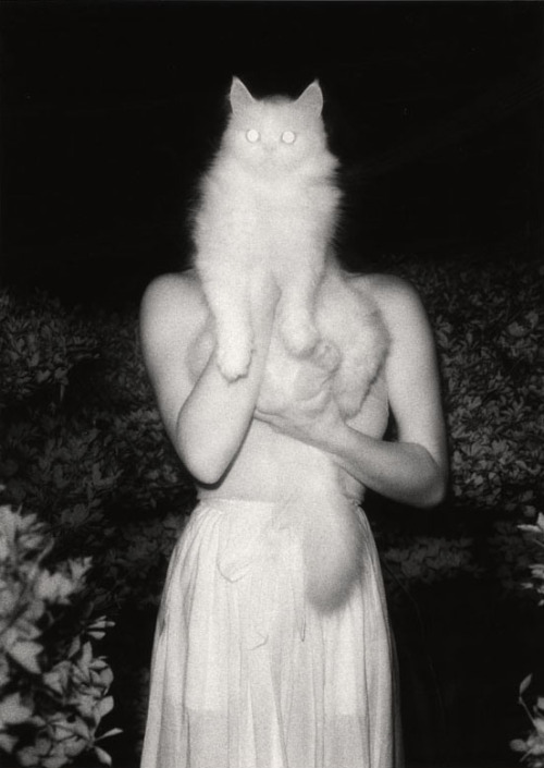 my-secret-eye - Masaaki Miyzawa, Once Upon a White Night, 1981