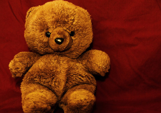 Tumblr Boneka Teddy Bear Lucu Satu Memiliki Berbagai Warna Coklat
