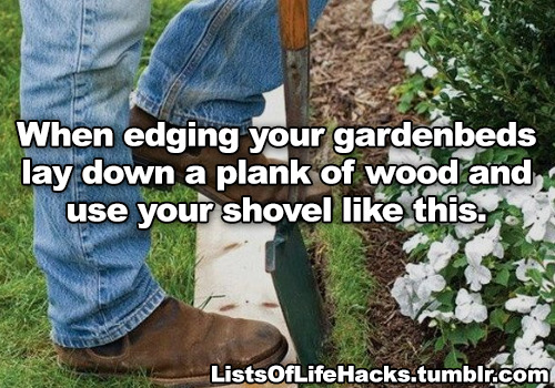 listsoflifehacks:Genius Gardening HacksTotally using these...