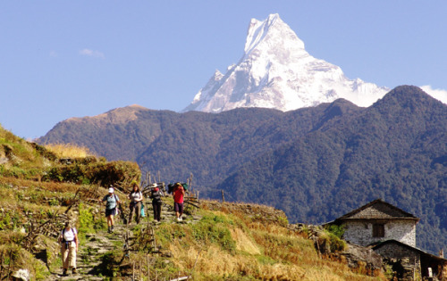 nepal - Hiking with Machhapuchhre (fishtail) mountain backdrop....